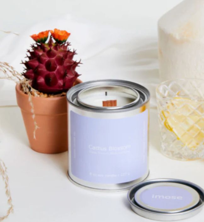 Cactus Blossom Soy Candle