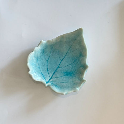 Ground Cherry Leaf Dish (Aqua)